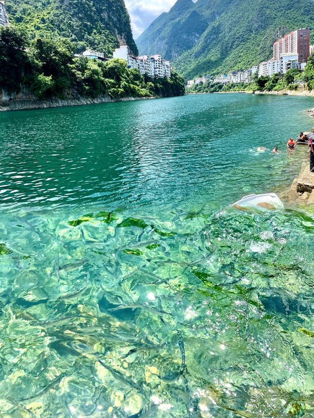 天峨縣旅遊攻略。