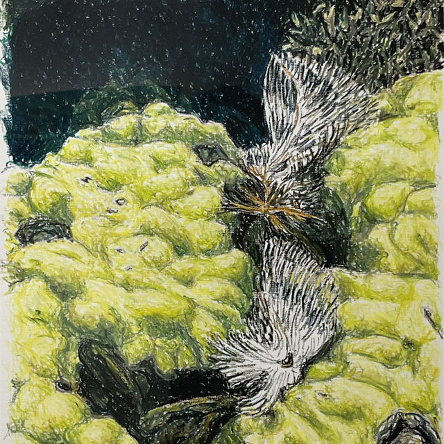 海之蒼穹