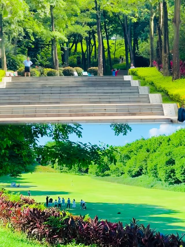 深圳可以野外奔跑嘅公園。