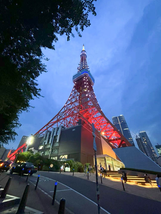 東京塔天際線景觀，城市景色盡收眼底