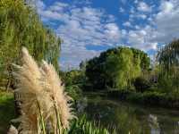華夏公園。