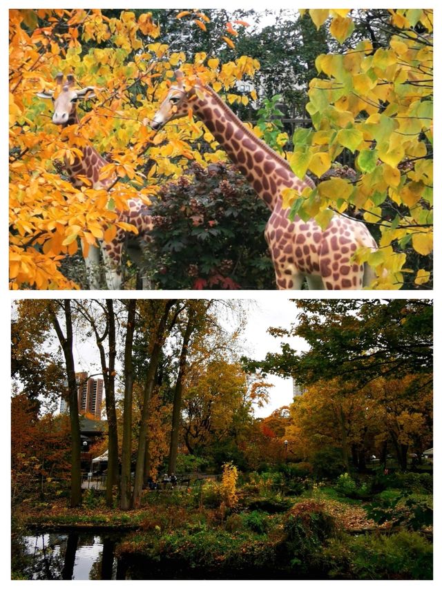 芝加哥的寶藏：林肯動植物園。