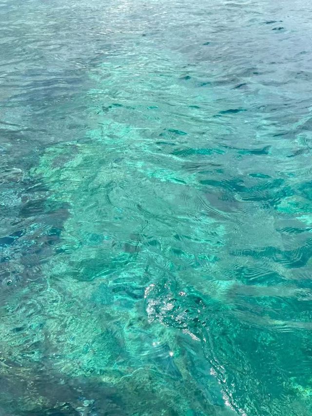 不會游泳的人竟然在印度洋浮潛！。