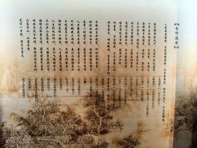 蘇軾的文學成就--宋代文學的巔峰。