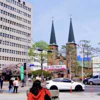 Daegu metropolitan city. Church beauty with Cherry Blossoms
