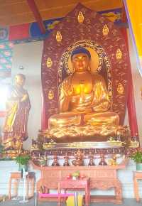 杭州大雄山東麓竹林裡藏着一座講寺，每天都能聽到比丘尼的誦經聲。
