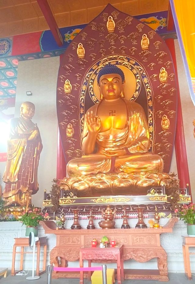 杭州大雄山東麓竹林裡藏着一座講寺，每天都能聽到比丘尼的誦經聲。