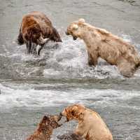Travel to Alaska such an amazing trip