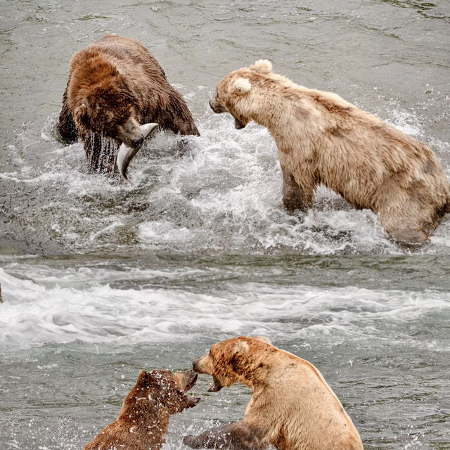 Travel to Alaska such an amazing trip