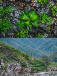 石家莊周邊遊，打卡大梁江石頭村。