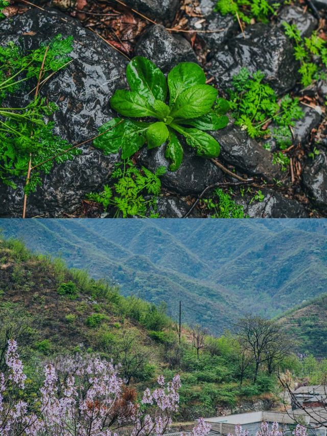 石家莊周邊遊，打卡大梁江石頭村。