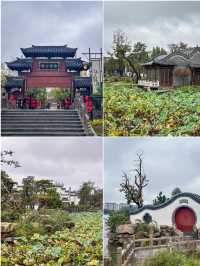 這麼浪漫的古風小鎮居然藏在黃河入海口  姊妹們，攤牌了，不藏了！必須向你們強烈安利我的家鄉——。