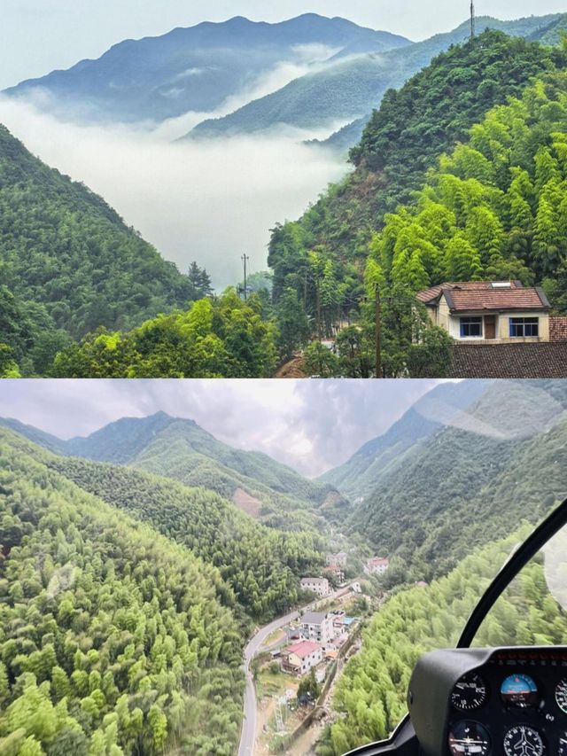 隱於安吉竹林溪谷秘境！270°躺看星空。