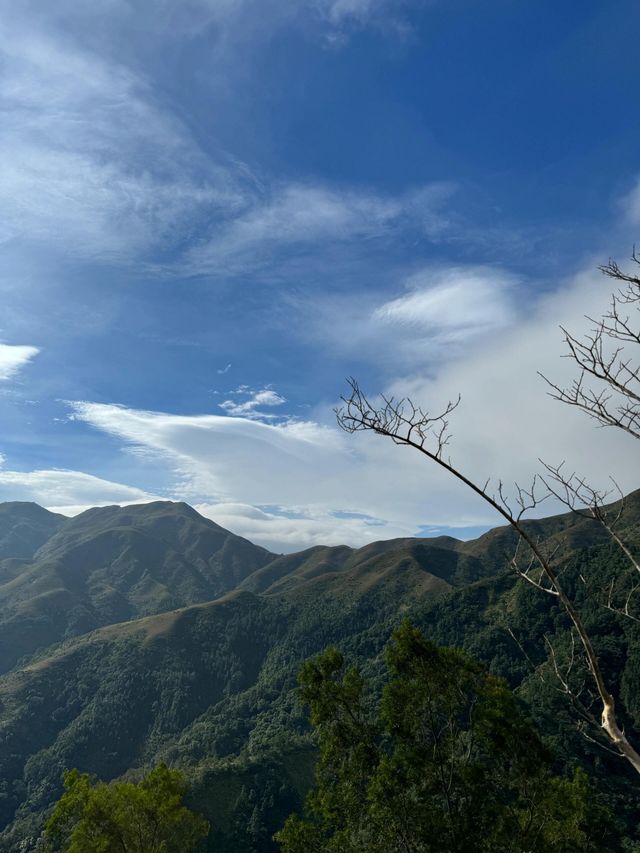 放棄武功山了，廣東這個高山大草甸太絕了。