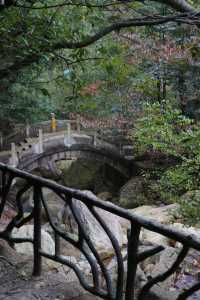 廣西南寧大明山｜嶺南奇境，人間仙域。
