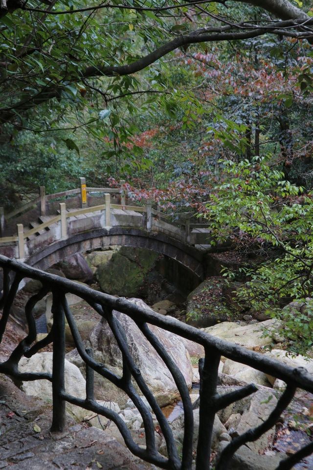 廣西南寧大明山｜嶺南奇境，人間仙域。