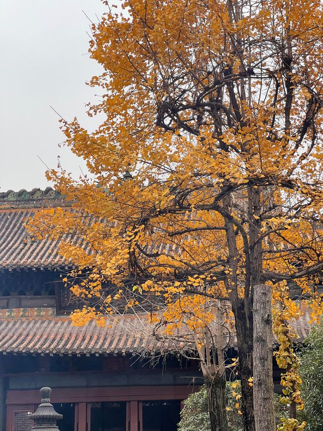 寶輪寺一日遊！《附攻略》。