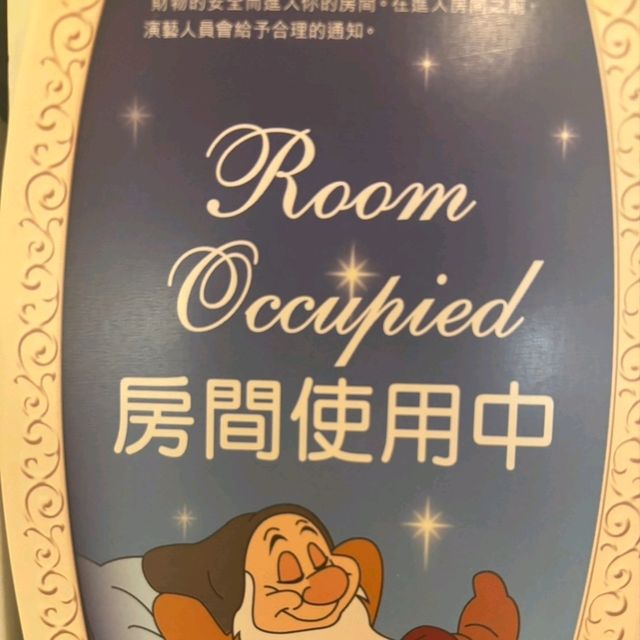 2024年11月最新！香港ディズニーランドホテル宿泊記