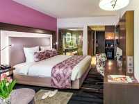 新德里機場諾富特酒店 | Novotel Aerocity Delhi   酒店資訊： 新德里。
