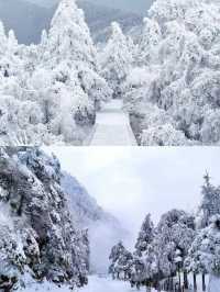 不是哈爾濱去不起，是南嶽衡山更有性價比。