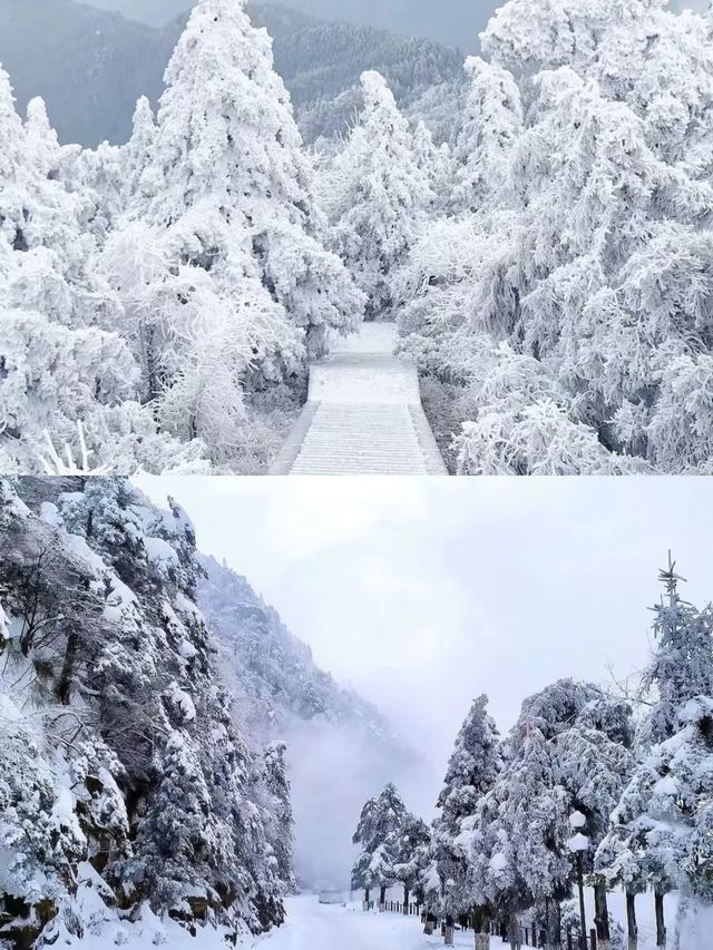不是哈爾濱去不起，是南嶽衡山更有性價比。