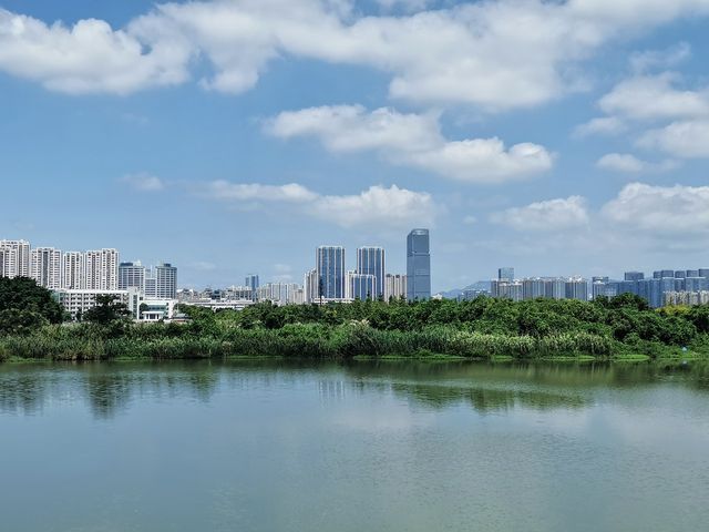 浙南威尼斯三垟濕地丨江南的夏日秘境。