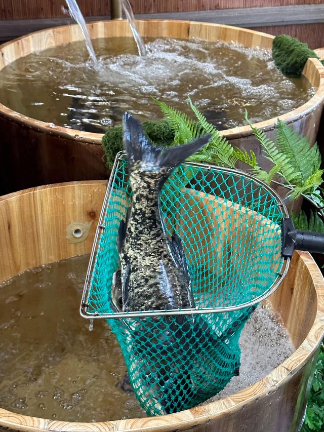 百家湖這家湘菜館我可以吃一輩子！！。