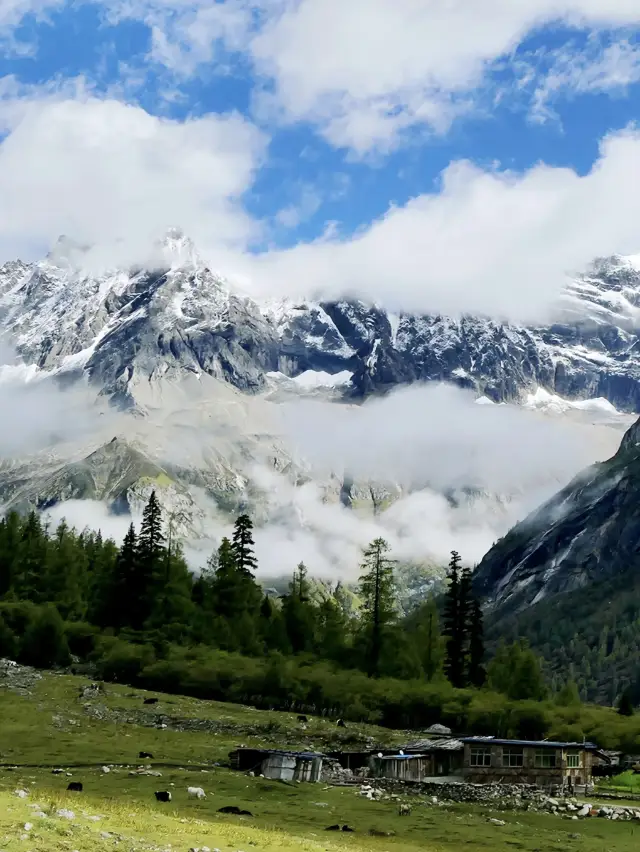 Tagong Grassland: A Pure Land in Your Heart