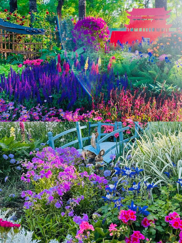 北京的莫奈花園真的美得令人落淚