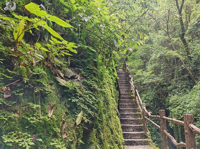 秘境哀牢山