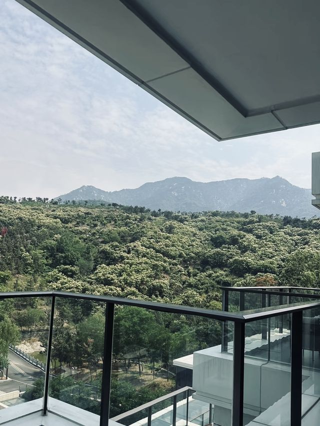 登山吸氧｜蒙山·養心度假酒店