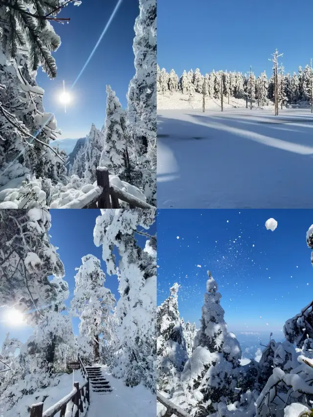 와우산 여행 가이드