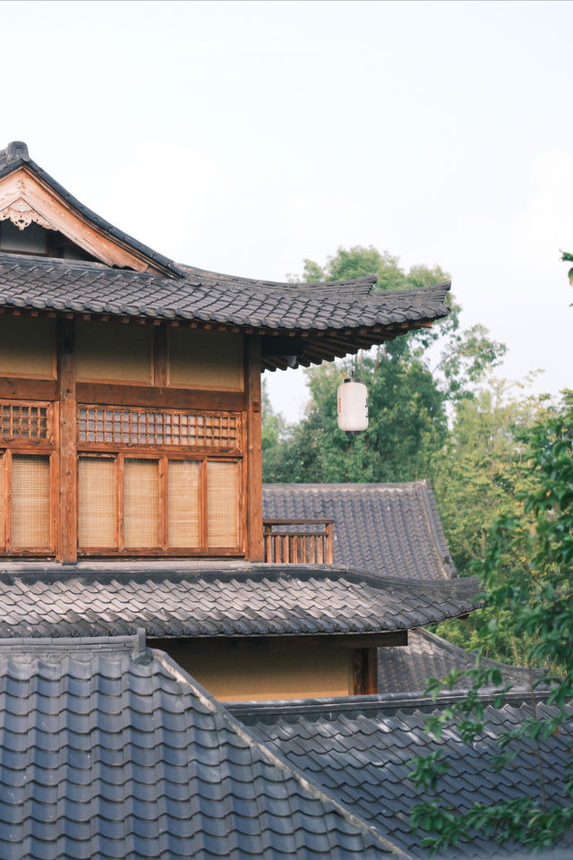 【青城山探店｜芷筑·飲馬川的和風庭院之旅】