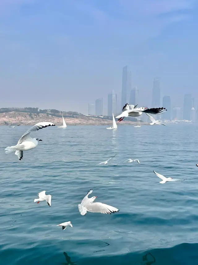 Qingdao-Weihai-Yantai 5-Day Tour: Explore the Coastal Cities of Shandong