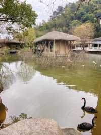 莊生夢蝶，逍遙山水間：君瀾·安吉老莊山居