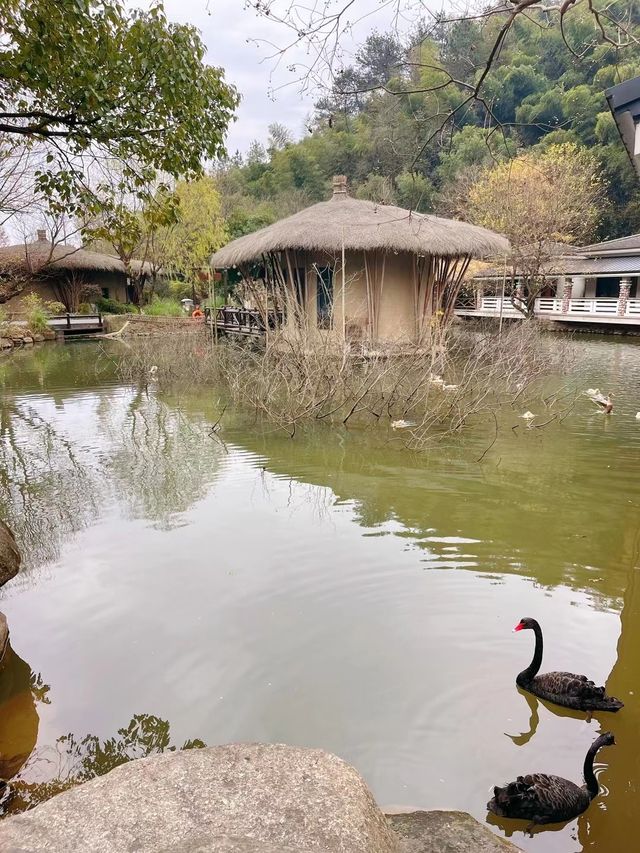 莊生夢蝶，逍遙山水間：君瀾·安吉老莊山居