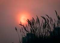 終於免費了·成都世界園藝博覽園