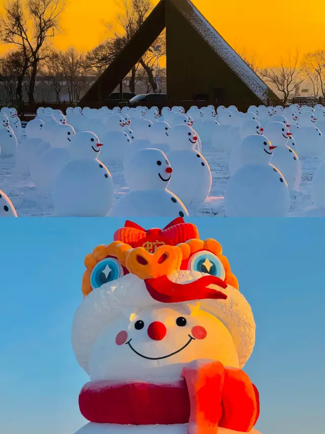 Harbin Winter Adventure: Explore the Cost-effective Ice and Snow Kingdom
