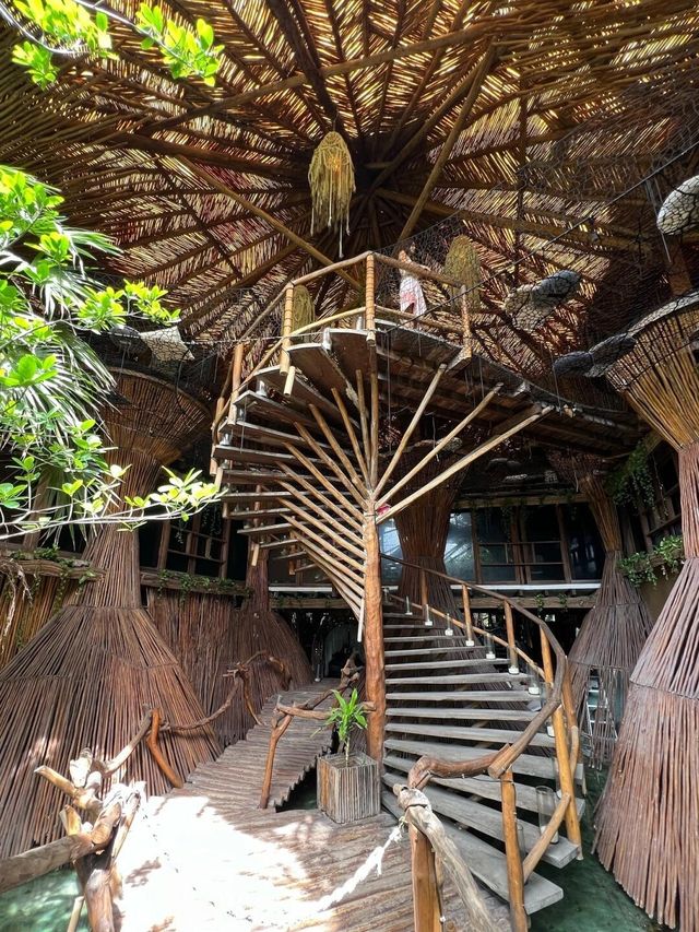 為了這家鳥巢餐廳專門飛了一趟Tulum…