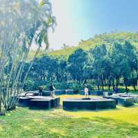 來深圳中心公園逛逛啦