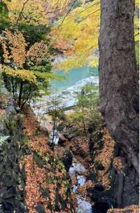 12月 京都 巔峰體驗
