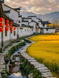 和家人去咗黃山，呢間酒店後勁太大啦…強推！！