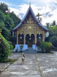 Explore the Hidden Temples of Luang Prabang