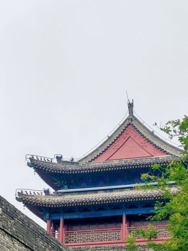 西安兵馬俑-法門寺老年人遊玩全攻略必看