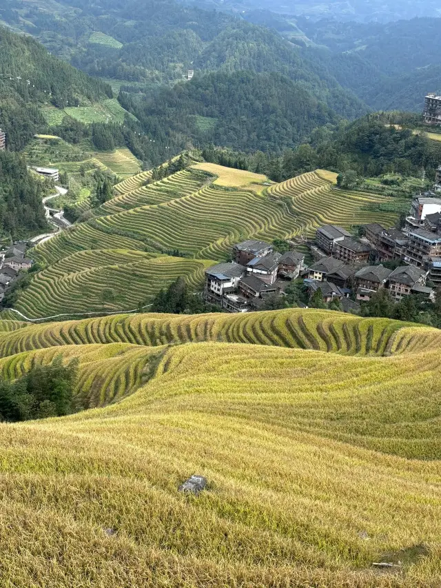 Longji Rice Terraces - Sanjiang: A New Choice for Seniors with a Super Detailed Guide