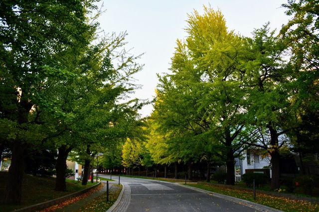 札幌札幌公園 | 絕佳地理位置與服務