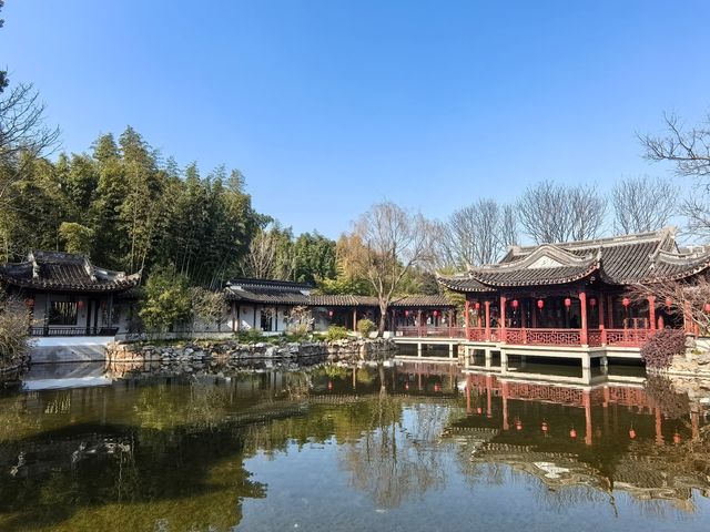 蛇年初七，邂逅古猗園的歲朝雅韻