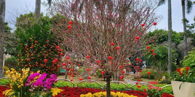 Guangzhou Culture Park 😍❤️