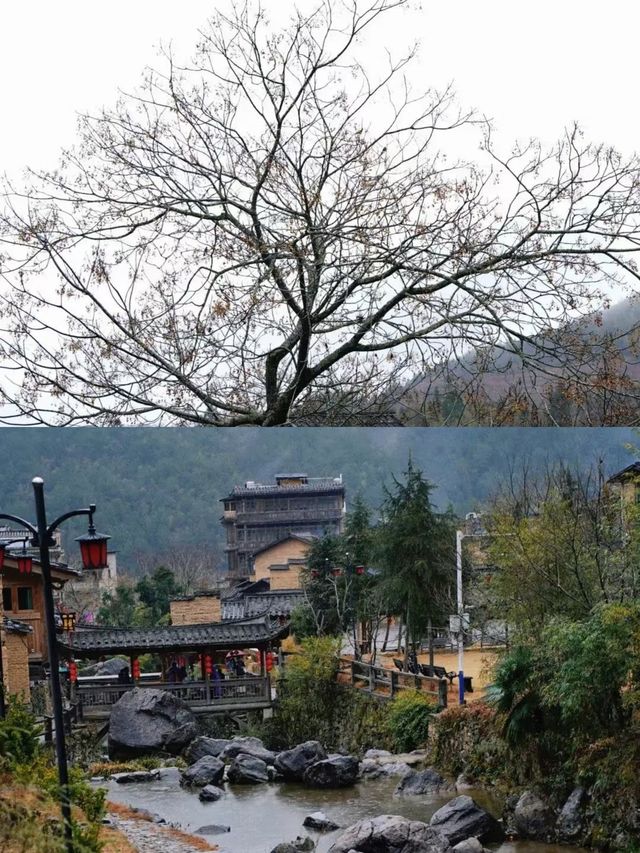 霧雨中的古村，仿佛世外桃源！