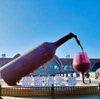 Yinchuan: A Peaceful Escape for Chinese New Year 🎆🏯